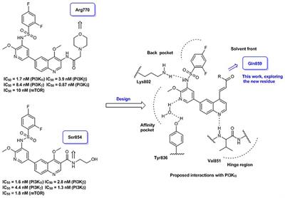 Novel 4-Acrylamido-Quinoline Derivatives as Potent PI3K/mTOR Dual Inhibitors: The Design, Synthesis, and in vitro and in vivo Biological Evaluation